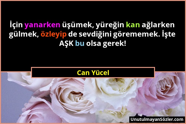 Can Yücel - İçin yanarken üşümek, yüreğin kan ağlarken gülmek, özleyip de sevdiğini görememek. İşte AŞK bu olsa gerek!...