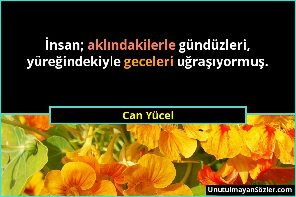 Can Yücel - İnsan; aklındakilerle gündüzleri, yüreğindekiyle geceleri uğraşıyormuş....
