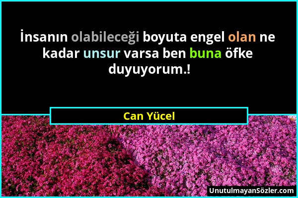Can Yücel - İnsanın olabileceği boyuta engel olan ne kadar unsur varsa ben buna öfke duyuyorum.!...