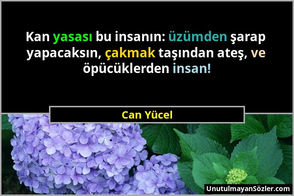 Can Yücel - Kan yasası bu insanın: üzümden şarap yapacaksın, çakmak taşından ateş, ve öpücüklerden insan!...