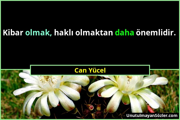 Can Yücel - Kibar olmak, haklı olmaktan daha önemlidir....