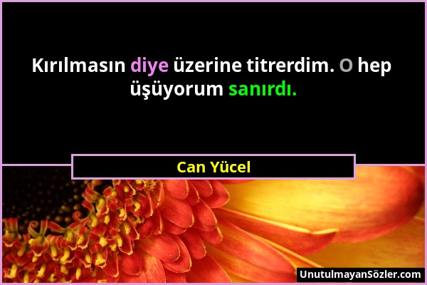 Can Yücel - Kırılmasın diye üzerine titrerdim. O hep üşüyorum sanırdı....