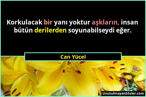 Can Yücel - Korkulacak bir yanı yoktur aşkların, insan bütün derilerden soyunabilseydi eğer....