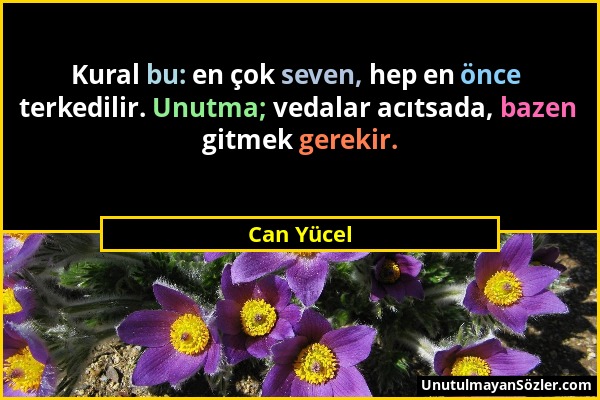 Can Yücel - Kural bu: en çok seven, hep en önce terkedilir. Unutma; vedalar acıtsada, bazen gitmek gerekir....
