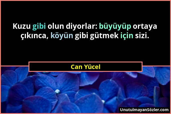 Can Yücel - Kuzu gibi olun diyorlar: büyüyüp ortaya çıkınca, köyün gibi gütmek için sizi....