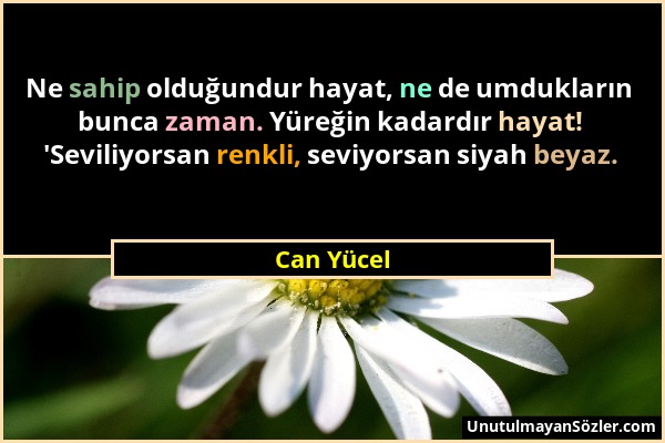 Can Yücel - Ne sahip olduğundur hayat, ne de umdukların bunca zaman. Yüreğin kadardır hayat! 'Seviliyorsan renkli, seviyorsan siyah beyaz....