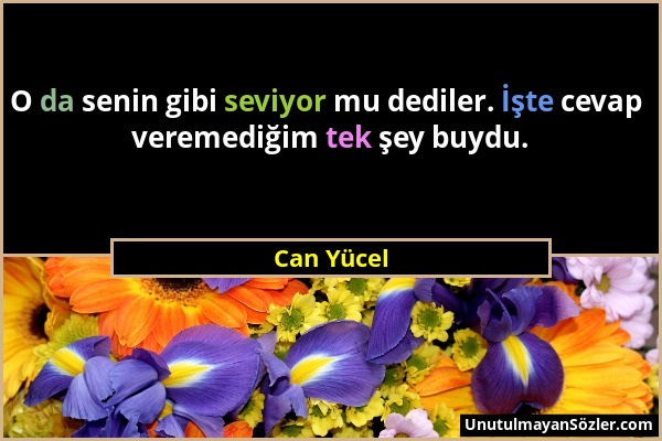 Can Yücel - O da senin gibi seviyor mu dediler. İşte cevap veremediğim tek şey buydu....