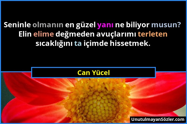 Can Yücel - Seninle olmanın en güzel yanı ne biliyor musun? Elin elime değmeden avuçlarımı terleten sıcaklığını ta içimde hissetmek....