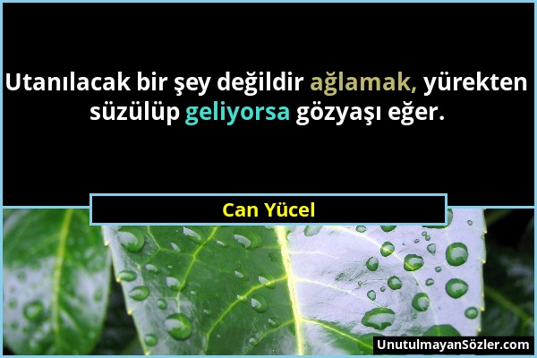 Can Yücel - Utanılacak bir şey değildir ağlamak, yürekten süzülüp geliyorsa gözyaşı eğer....
