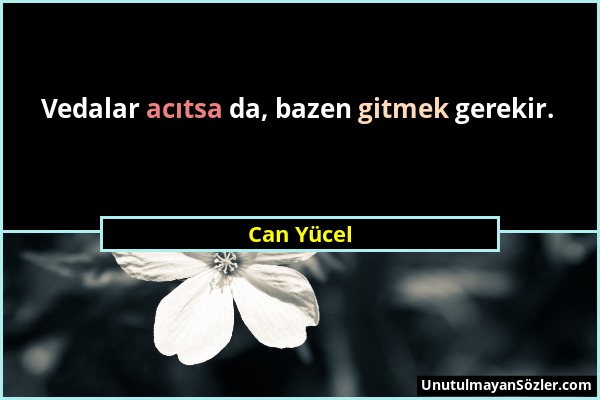 Can Yücel - Vedalar acıtsa da, bazen gitmek gerekir....