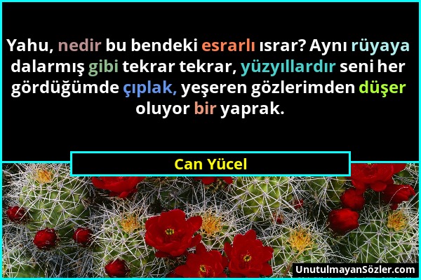 Can Yücel - Yahu, nedir bu bendeki esrarlı ısrar? Aynı rüyaya dalarmış gibi tekrar tekrar, yüzyıllardır seni her gördüğümde çıplak, yeşeren gözlerimde...