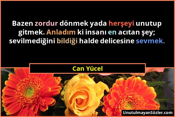 Can Yücel - Bazen zordur dönmek yada herşeyi unutup gitmek. Anladım ki insanı en acıtan şey; sevilmediğini bildiği halde delicesine sevmek....