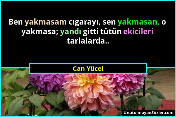 Can Yücel - Ben yakmasam cıgarayı, sen yakmasan, o yakmasa; yandı gitti tütün ekicileri tarlalarda.....