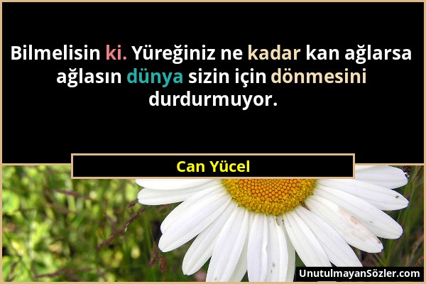 Can Yücel - Bilmelisin ki. Yüreğiniz ne kadar kan ağlarsa ağlasın dünya sizin için dönmesini durdurmuyor....