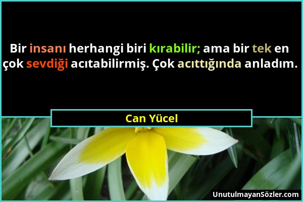 Can Yücel - Bir insanı herhangi biri kırabilir; ama bir tek en çok sevdiği acıtabilirmiş. Çok acıttığında anladım....