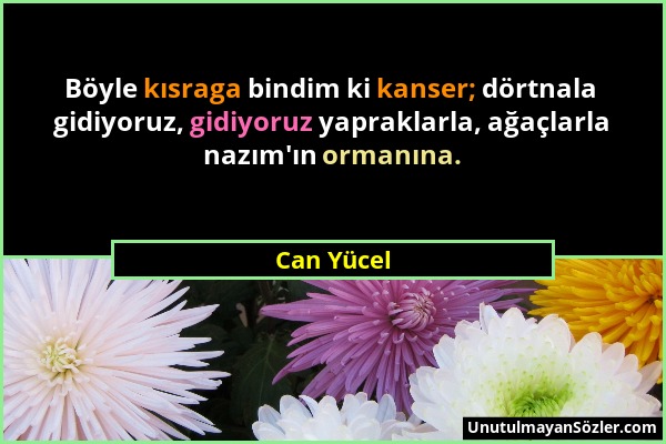 Can Yücel - Böyle kısraga bindim ki kanser; dörtnala gidiyoruz, gidiyoruz yapraklarla, ağaçlarla nazım'ın ormanına....