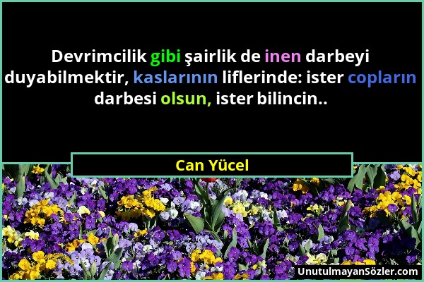 Can Yücel - Devrimcilik gibi şairlik de inen darbeyi duyabilmektir, kaslarının liflerinde: ister copların darbesi olsun, ister bilincin.....