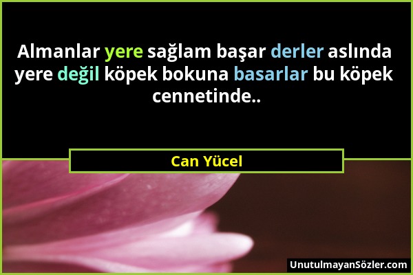 Can Yücel - Almanlar yere sağlam başar derler aslında yere değil köpek bokuna basarlar bu köpek cennetinde.....