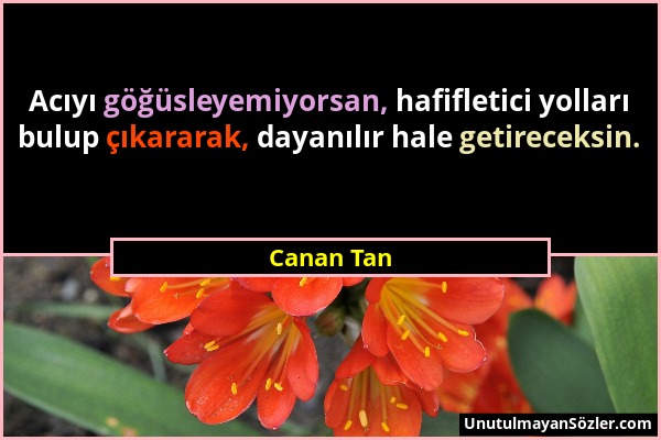 Canan Tan - Acıyı göğüsleyemiyorsan, hafifletici yolları bulup çıkararak, dayanılır hale getireceksin....