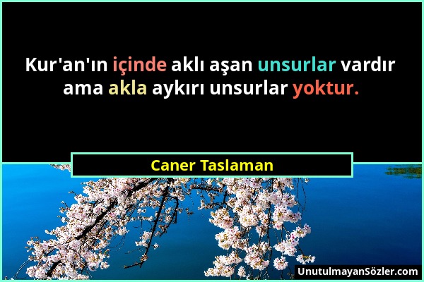 Caner Taslaman - Kur'an'ın içinde aklı aşan unsurlar vardır ama akla aykırı unsurlar yoktur....