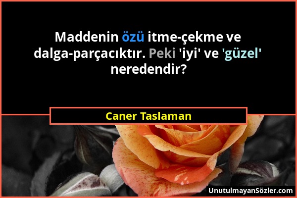 Caner Taslaman - Maddenin özü itme-çekme ve dalga-parçacıktır. Peki 'iyi' ve 'güzel' neredendir?...