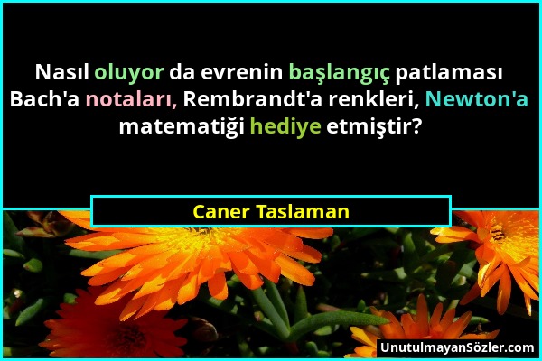 Caner Taslaman - Nasıl oluyor da evrenin başlangıç patlaması Bach'a notaları, Rembrandt'a renkleri, Newton'a matematiği hediye etmiştir?...