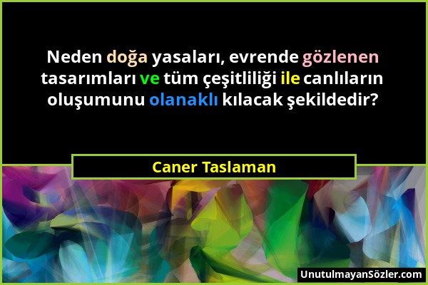 Caner Taslaman - Neden doğa yasaları, evrende gözlenen tasarımları ve tüm çeşitliliği ile canlıların oluşumunu olanaklı kılacak şekildedir?...