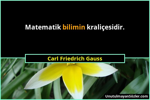 Carl Friedrich Gauss - Matematik bilimin kraliçesidir....