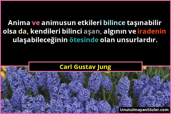 Carl Gustav Jung - Anima ve animusun etkileri bilince taşınabilir olsa da, kendileri bilinci aşan, algının ve iradenin ulaşabileceğinin ötesinde olan...