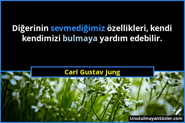 Carl Gustav Jung - Diğerinin sevmediğimiz özellikleri, kendi kendimizi bulmaya yardım edebilir....