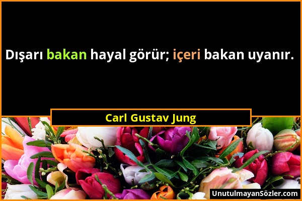 Carl Gustav Jung - Dışarı bakan hayal görür; içeri bakan uyanır....