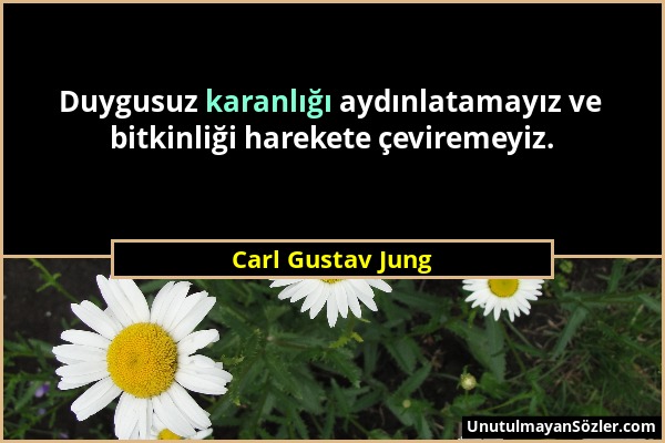 Carl Gustav Jung - Duygusuz karanlığı aydınlatamayız ve bitkinliği harekete çeviremeyiz....