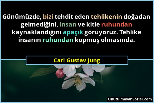 Carl Gustav Jung - Günümüzde, bizi tehdit eden tehlikenin doğadan gelmediğini, insan ve kitle ruhundan kaynaklandığını apaçık görüyoruz. Tehlike insan...