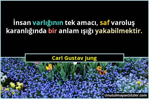 Carl Gustav Jung - İnsan varlığının tek amacı, saf varoluş karanlığında bir anlam ışığı yakabilmektir....