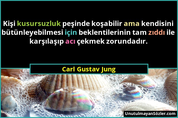 Carl Gustav Jung - Kişi kusursuzluk peşinde koşabilir ama kendisini bütünleyebilmesi için beklentilerinin tam zıddı ile karşılaşıp acı çekmek zorundad...