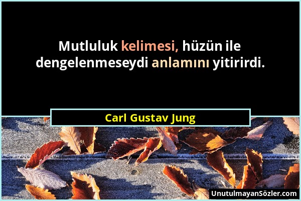 Carl Gustav Jung - Mutluluk kelimesi, hüzün ile dengelenmeseydi anlamını yitirirdi....