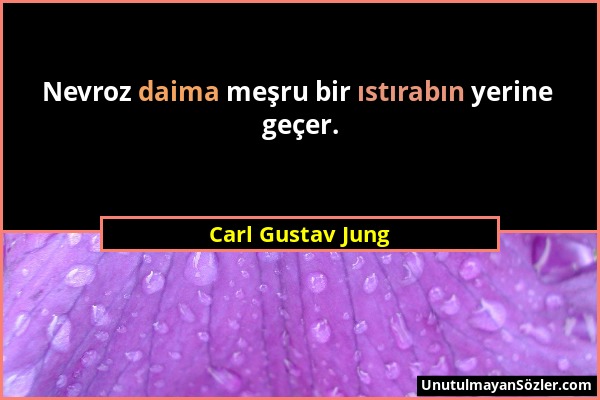 Carl Gustav Jung - Nevroz daima meşru bir ıstırabın yerine geçer....