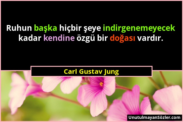 Carl Gustav Jung - Ruhun başka hiçbir şeye indirgenemeyecek kadar kendine özgü bir doğası vardır....