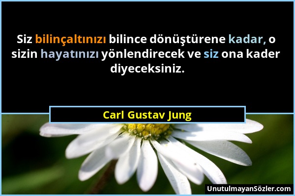 Carl Gustav Jung - Siz bilinçaltınızı bilince dönüştürene kadar, o sizin hayatınızı yönlendirecek ve siz ona kader diyeceksiniz....