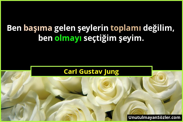 Carl Gustav Jung - Ben başıma gelen şeylerin toplamı değilim, ben olmayı seçtiğim şeyim....