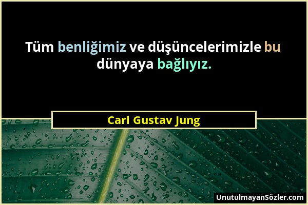 Carl Gustav Jung - Tüm benliğimiz ve düşüncelerimizle bu dünyaya bağlıyız....