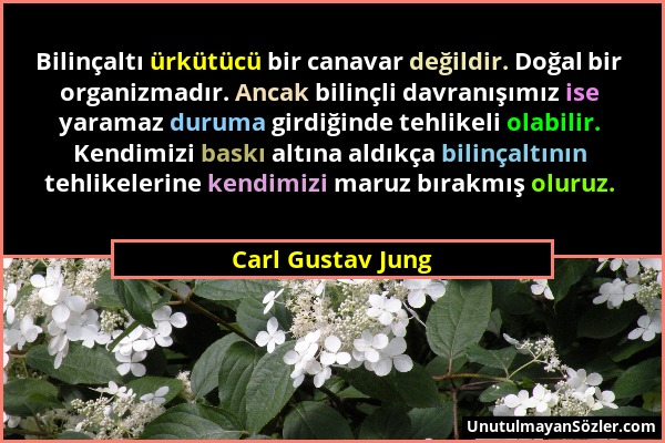 Carl Gustav Jung - Bilinçaltı ürkütücü bir canavar değildir. Doğal bir organizmadır. Ancak bilinçli davranışımız ise yaramaz duruma girdiğinde tehlike...