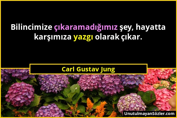 Carl Gustav Jung - Bilincimize çıkaramadığımız şey, hayatta karşımıza yazgı olarak çıkar....