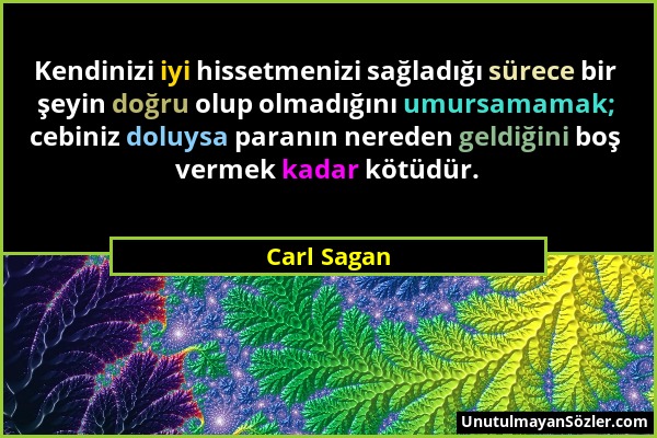 Carl Sagan - Kendinizi iyi hissetmenizi sağladığı sürece bir şeyin doğru olup olmadığını umursamamak; cebiniz doluysa paranın nereden geldiğini boş ve...