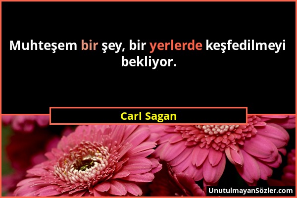 Carl Sagan - Muhteşem bir şey, bir yerlerde keşfedilmeyi bekliyor....