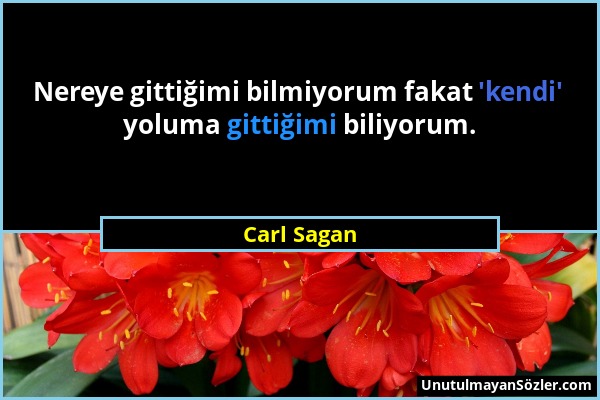 Carl Sagan - Nereye gittiğimi bilmiyorum fakat 'kendi' yoluma gittiğimi biliyorum....