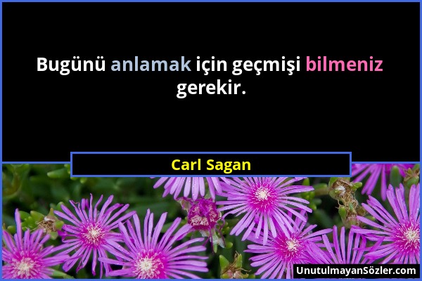 Carl Sagan - Bugünü anlamak için geçmişi bilmeniz gerekir....