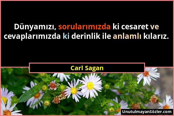 Carl Sagan - Dünyamızı, sorularımızda ki cesaret ve cevaplarımızda ki derinlik ile anlamlı kılarız....