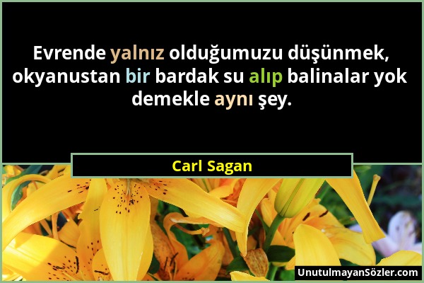 Carl Sagan - Evrende yalnız olduğumuzu düşünmek, okyanustan bir bardak su alıp balinalar yok demekle aynı şey....