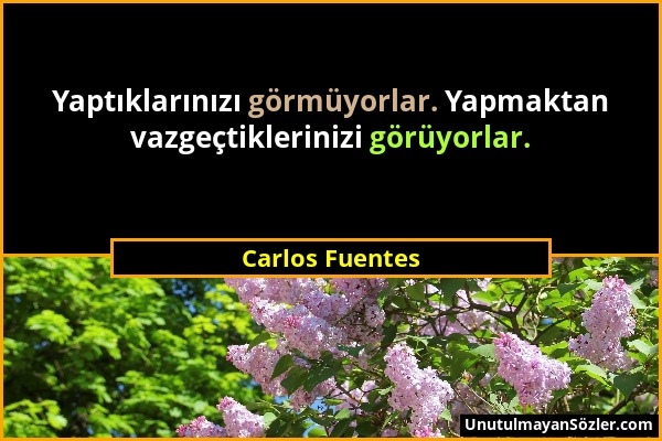 Carlos Fuentes - Yaptıklarınızı görmüyorlar. Yapmaktan vazgeçtiklerinizi görüyorlar....